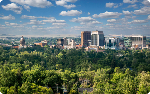 Website Ad Cards (90)